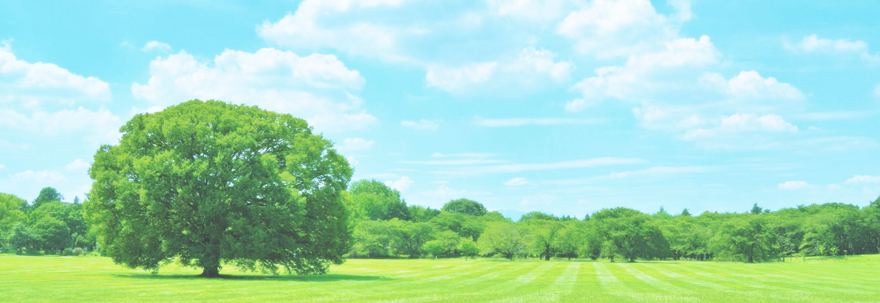 キービジュアルイメージ01